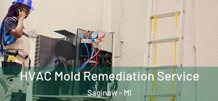  HVAC Mold Remediation Service Saginaw - MI