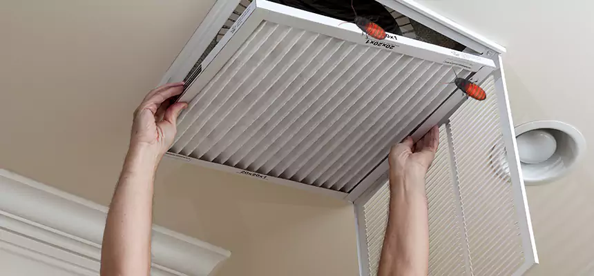 Preventive Cockroach-Proofing for Ducts in Saginaw