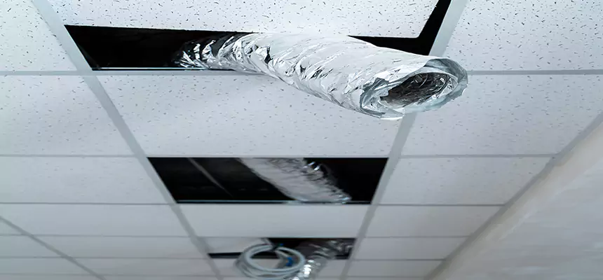 Our Air Duct Pet Hair Removal Services in Saginaw, MI