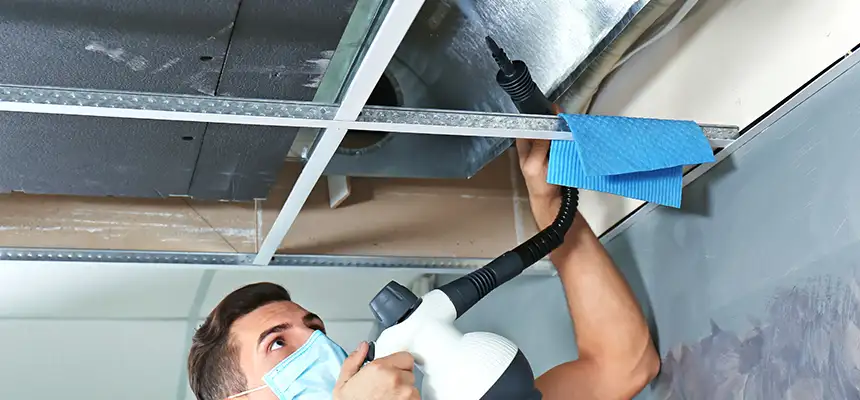 Our Air Duct Rodent Removal Services in Saginaw, MI