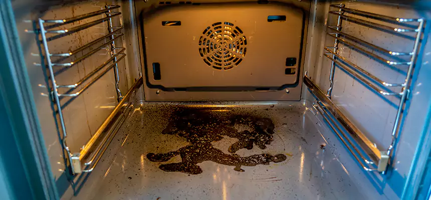 Our Dryer Vent Mold Cleaning Services in Saginaw, MI