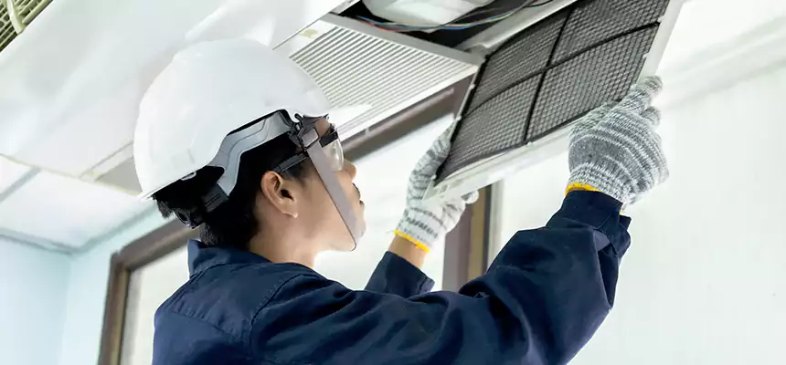 Our Mold & Mildew Removal from Air Ducts Services in Saginaw, MI