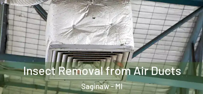  Insect Removal from Air Ducts Saginaw - MI