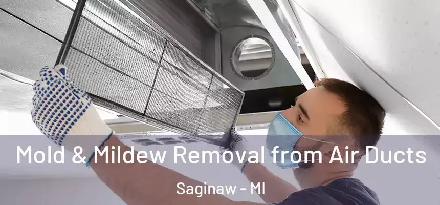  Mold & Mildew Removal from Air Ducts Saginaw - MI