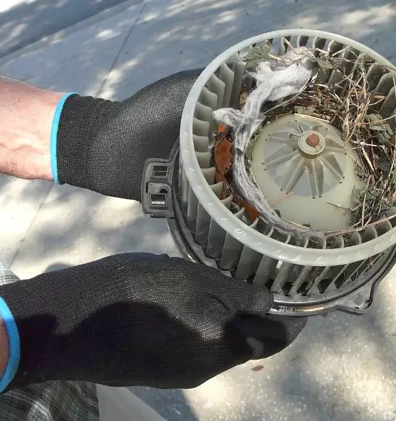 About Air Duct Mice Removal in Saginaw, MI