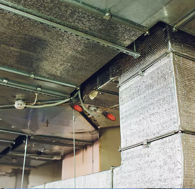 Why Homeowners & Businesses Trust Us in Saginaw, MI?