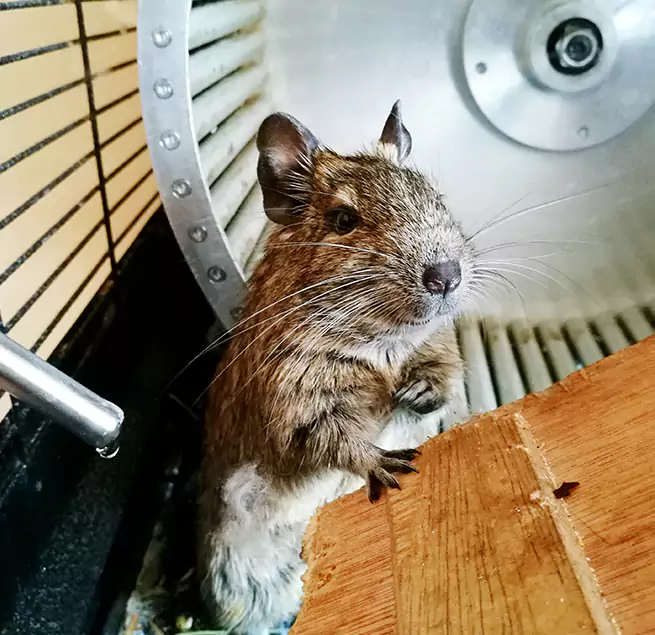 Why Homeowners & Businesses Trust Us Saginaw, MI