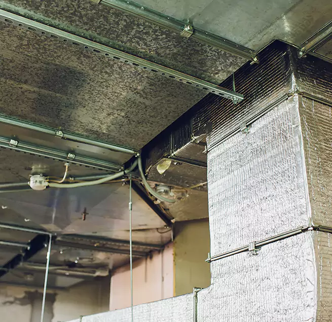 Why Homeowners & Businesses Trust Us in Saginaw, MI?