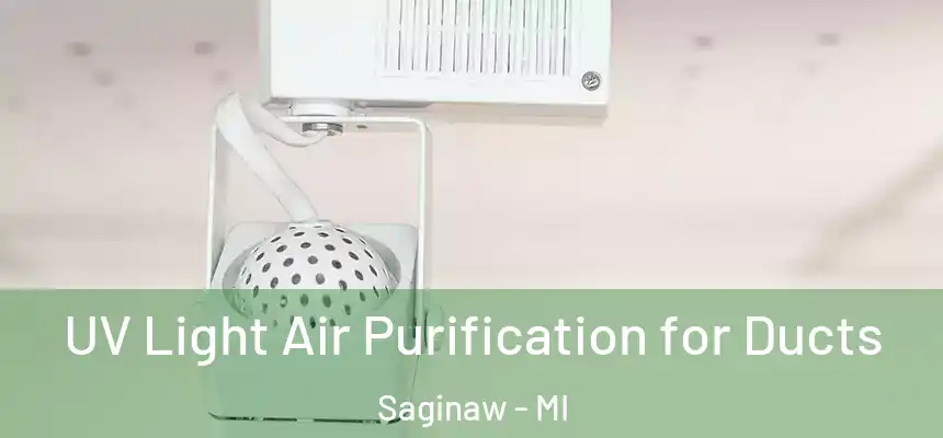  UV Light Air Purification for Ducts Saginaw - MI